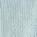 Caron One Pound Yarn - Pale Green