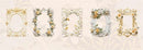 Poppy Crafts 3D Paper Floral Window Frames 10 Pack - Blooming Under The Moon*