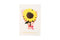 Poppy Crafts Quilling Kit - A5 Greeting Card #6 - Sunflower Best Wishes*