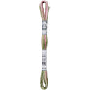 DMC Coloris 8m - Ancolie Des Jardins 4500