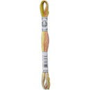 DMC Coloris 8m - Campagne Givree*