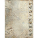 49 and Market Faded Memory Lane 6x8 inch Paper Pack fml-35520