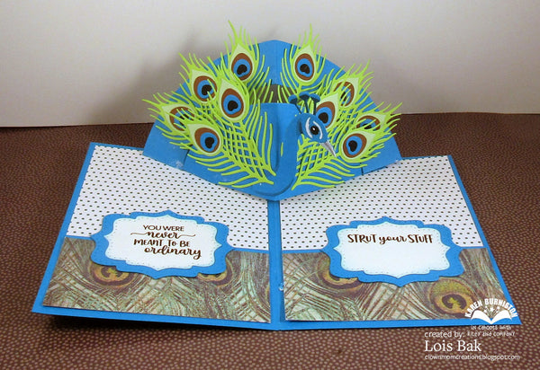 Karen Burniston Dies – KB Riley Peacock Add-Ons