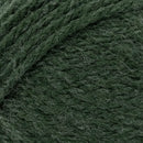 Lion Brand Hue & Me Yarn - Night Forest^