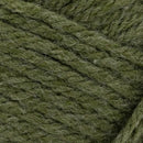 Lion Brand Hue & Me Yarn - Moss