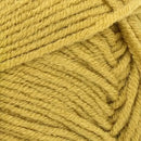 Lion Brand Color Theory Yarn - Bee Pollen