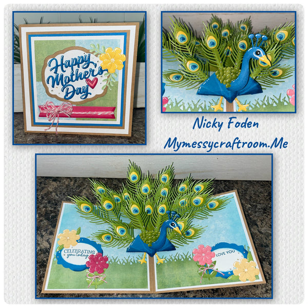 Karen Burniston Dies – KB Riley Peacock Add-Ons