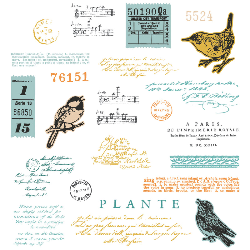 Sizzix A5 Clear Stamps With Framelits Die By 49 And Market - Bird Song