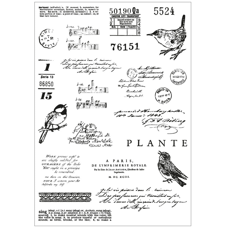 Sizzix A5 Clear Stamps With Framelits Die By 49 And Market - Bird Song