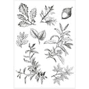 Sizzix A5 Clear Stamps With Framelits Die By 49 And Market - Forever Leaves*