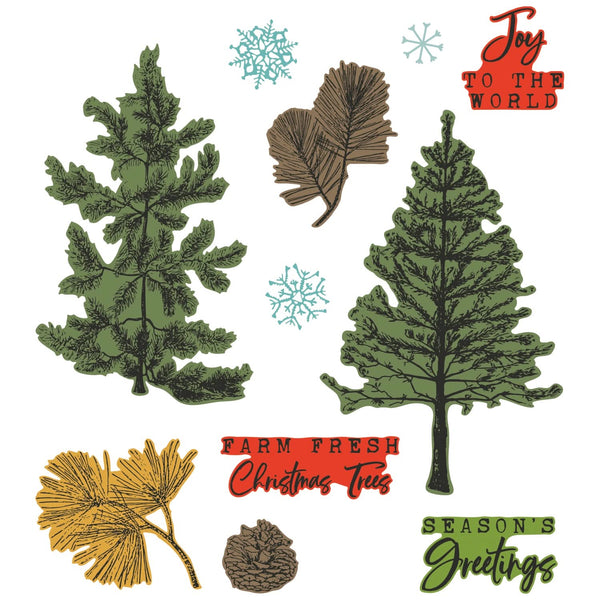 Sizzix A5 Clear Stamps With Framelits Die By 49 And Market - Pine Holidays*