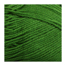 Fiddlesticks Superb 8 Yarn 100g - Green