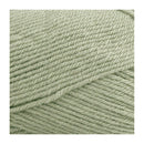 Fiddlesticks Superb 8 Yarn 100g - Sage