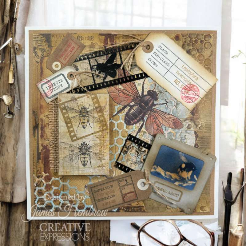 Creative Expressions Clear Stamp Set 6"x 8" By Tracie Fox - Nature Fill-Ins