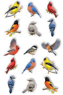 Product image of paper house backyard birds pop-up stickers featuring backyard bird pop-up stickers with cardinals, bluebirds and chickadees.