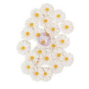 Prima Marketing Among the Wildflowers Collection Flowers – White Meadow – 24pc Floral Embellishment Pack
