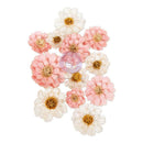 prima marketing bloom market among the wildflowers flowers