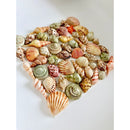 SMARTA – Seashells Silicone Mould for Clay, Resin & Coastal Mixed Media Crafts