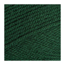 Stylecraft Special DK Premium Acrylic Yarn 100g - Bottle