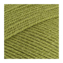 Stylecraft Special DK Premium Acrylic Yarn 100g - Meadow
