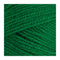 Stylecraft Special DK Premium Acrylic Yarn 100g - Green