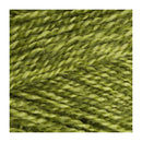 Stylecraft Special DK Premium Acrylic Yarn 100g - Greengage Mix