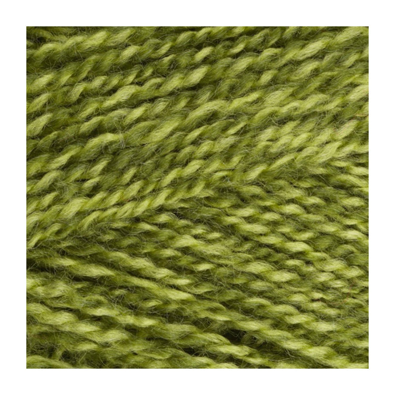 Stylecraft Special DK Premium Acrylic Yarn 100g - Greengage Mix