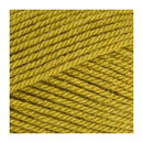 Stylecraft Special DK Premium Acrylic Yarn 100g - Lime