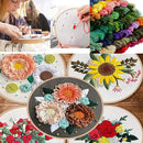 Poppy Crafts Embroidery Floss Kit - 100 Colours