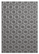 Poppy Crafts 3D Embossing Folder