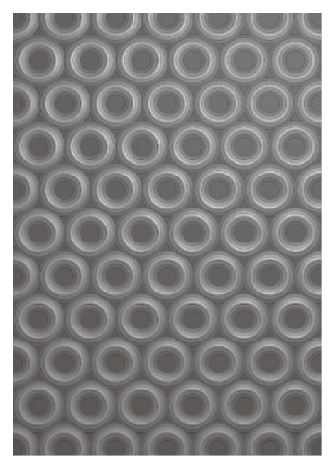 Poppy Crafts 3D Embossing Folder