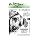 Picket Fence Studios Clear Stamp Set - You Hold my Heart in Your Paw