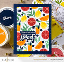 Altenew Citrus Fruits Pattern Layering Stencil Set (4 in 1)*