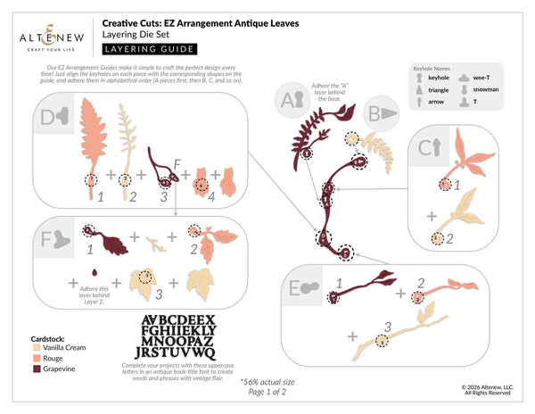 Layering die set arrangement guide with floral designs and color options.