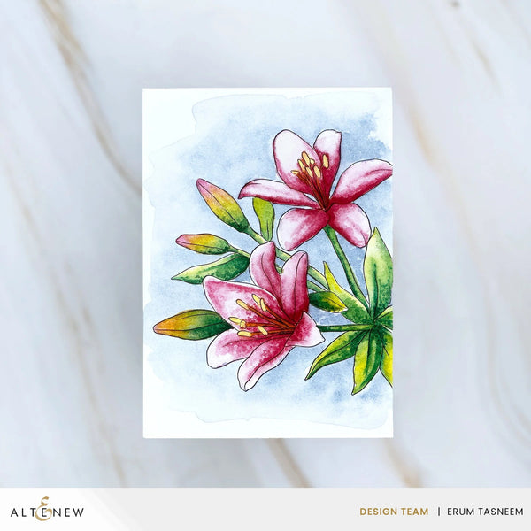 Altenew Watercolour Compact - Moody Brights