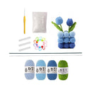 Crochet kit with yarn, hooks, and a small crocheted flower on a white background