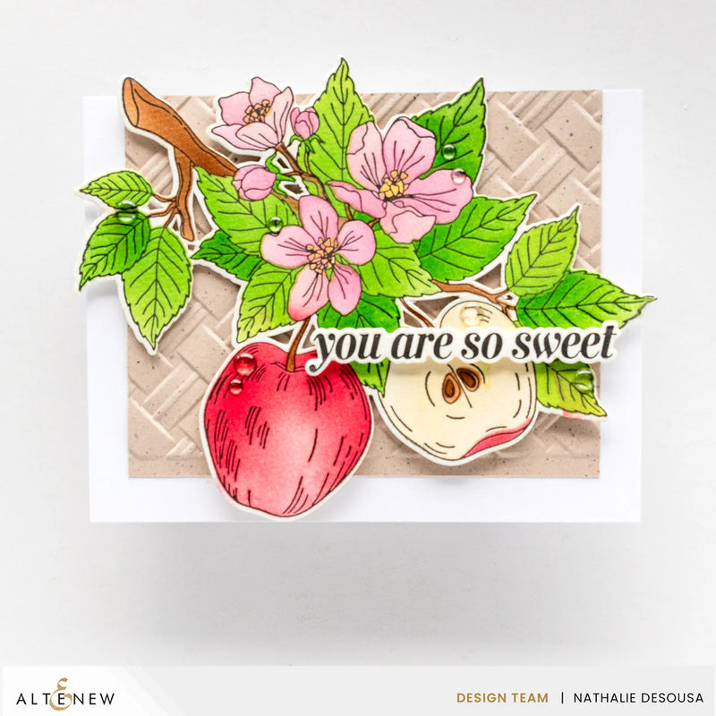 Altenew Blossoming Apple Simple Colouring Stencil Set