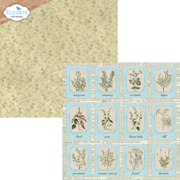 Elizabeth Craft Designs – Double-Sided Cardstock Pack 12"x12" – Delightful Discovery