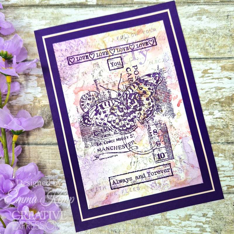 Creative Expressions Clear Stamp Set 4"x 6" By Sam Poole - Fly