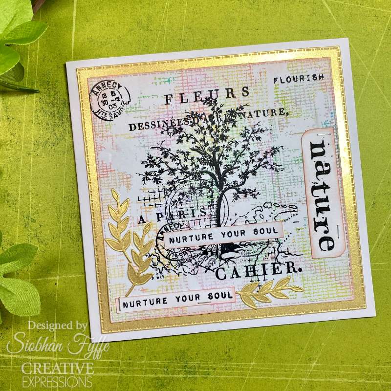 Creative Expressions Clear Stamp Set 4"x 6" By Sam Poole - Nature