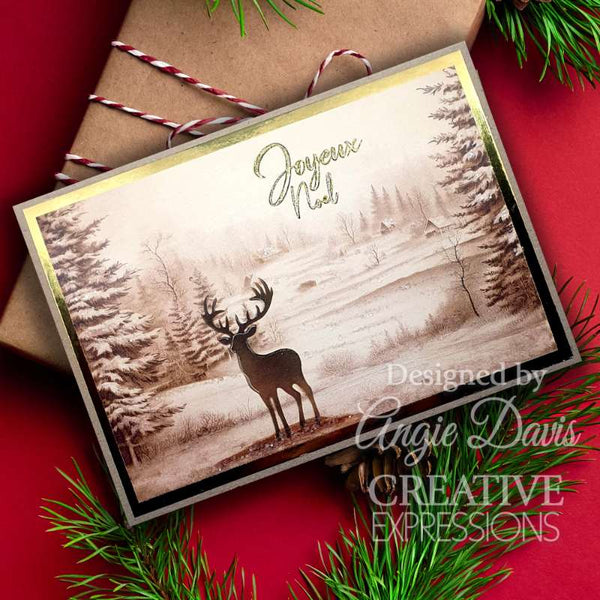 Creative Expressions Taylor Made Journals Clear Stamp 6"x 8" - Believe
