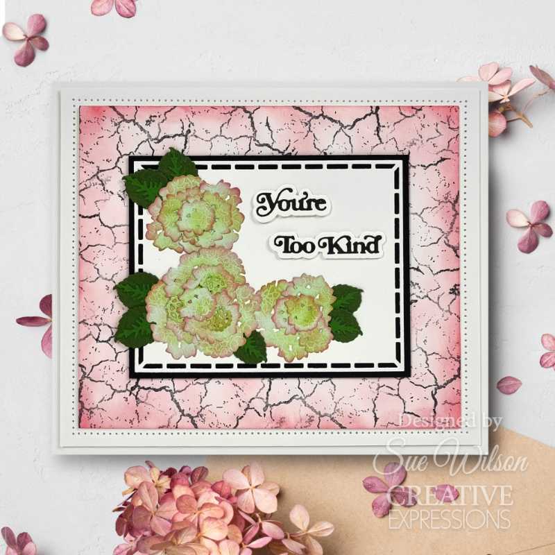 Creative Expressions Craft Dies By Sue Wilson  - Mini Shadow Sentiments - You're Too Kind*