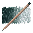 Caran d'Ache Luminance 6901 Coloured Pencil - Dark Sap Green