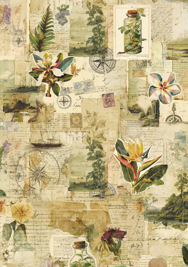 Vintage-style wallpaper with botanical illustrations, maps, and compasses on a beige background.