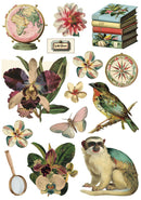 Collection of vintage-style illustrations including a monkey, flowers, books, and a compass.