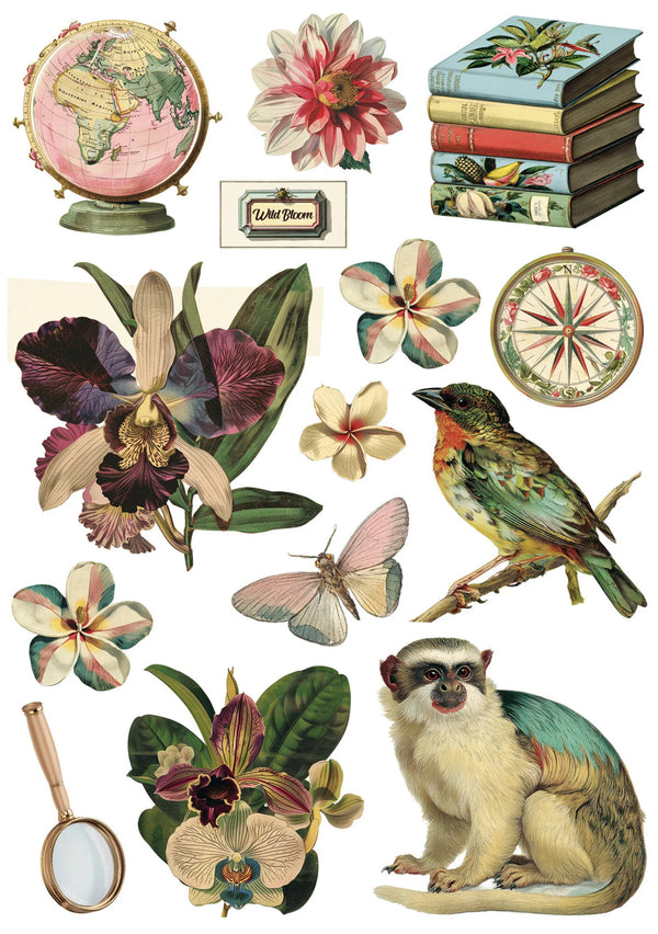 Collection of vintage-style illustrations including a monkey, flowers, books, and a compass.