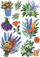 Collection of colorful floral illustrations including flowers, leaves, and a watering can.