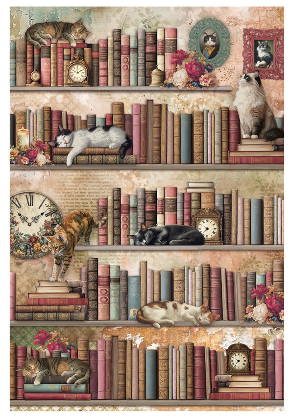 Bookshelf with cats and books in a decorative setting