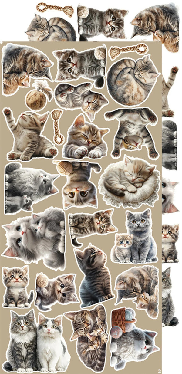 Craft O'Clock Creative Extras Set - Cats
