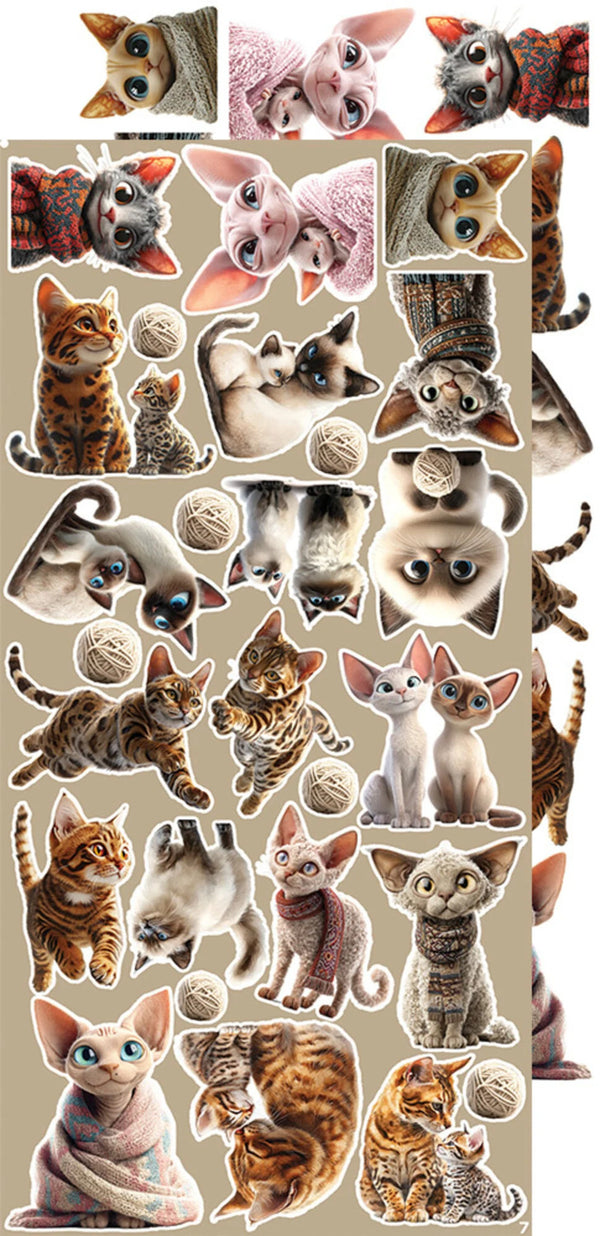 Craft O'Clock Creative Extras Set - Cats